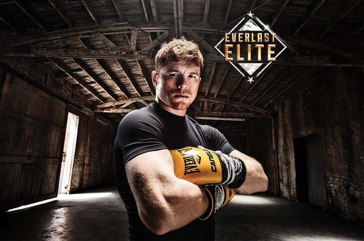 Canelo Alvarez, World Champion Boxer Background