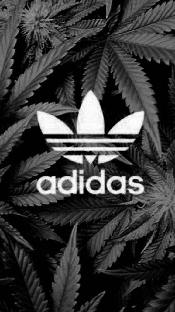 Cannabis Bush And Logo Adidas Iphone Background