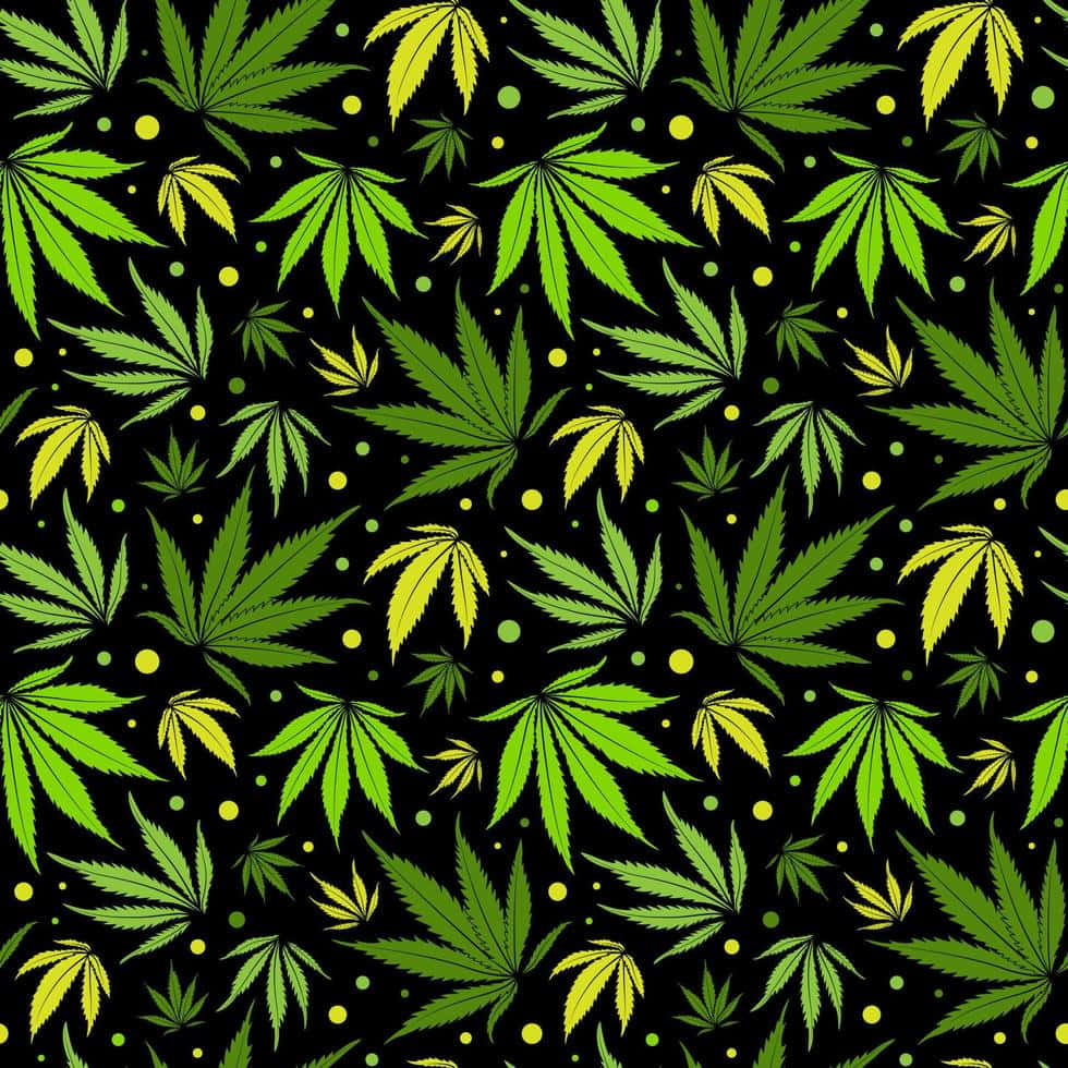 Cannabis Leaf Seamless Pattern Background