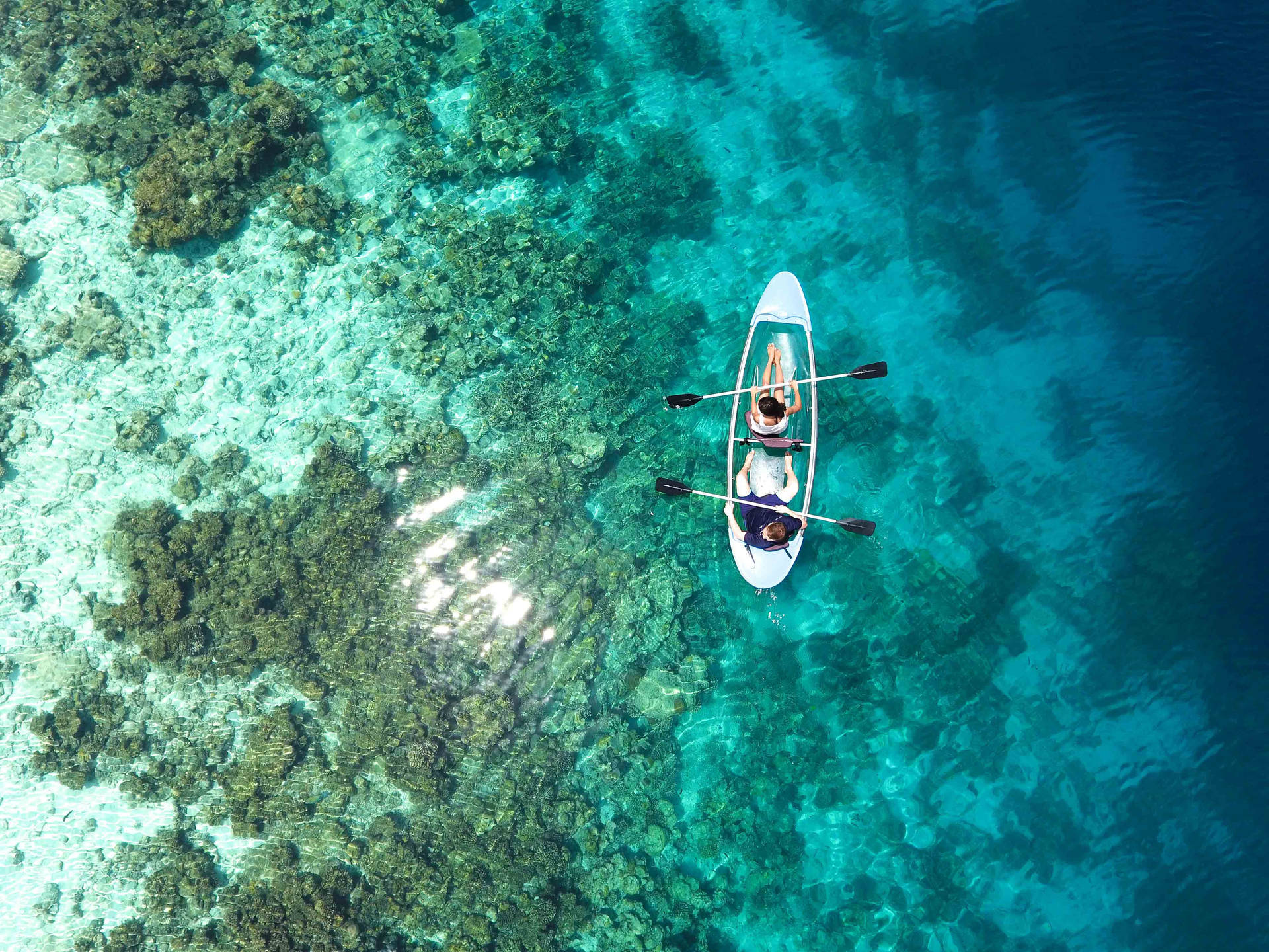 Canoe And Sea Background