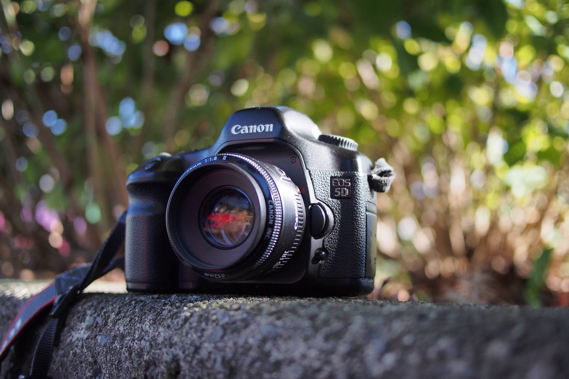 Canon 5d Camera Background
