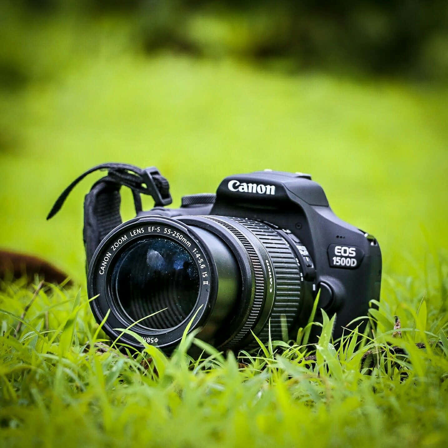 Canon Photography Camera On Grass Background