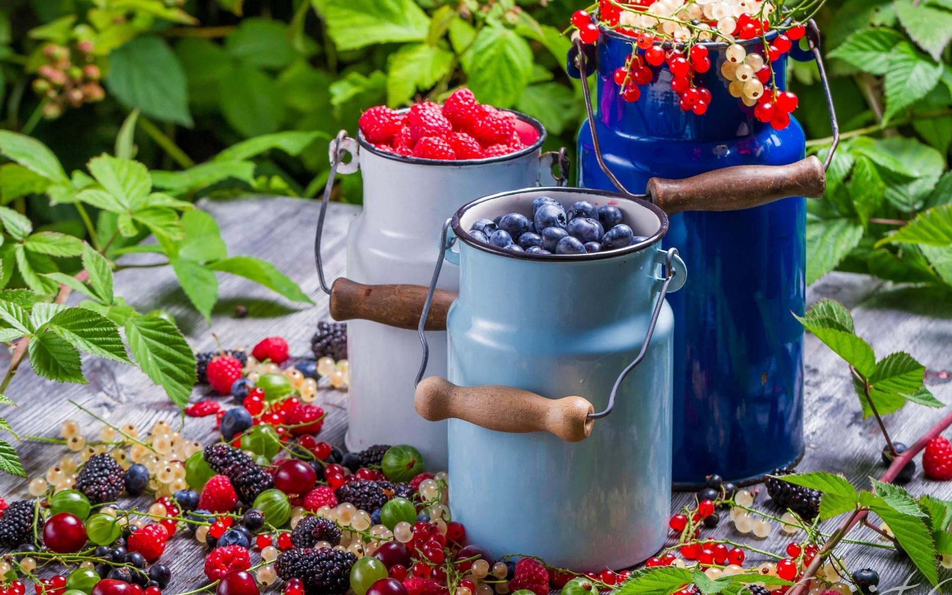 Cans Filled With Berries