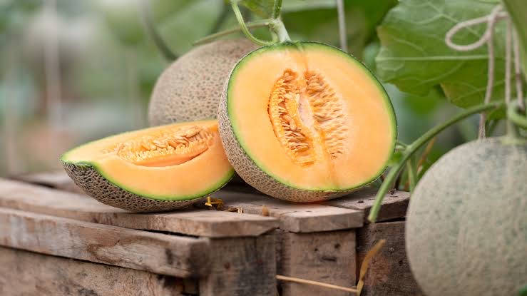 Cantaloupe Table Background