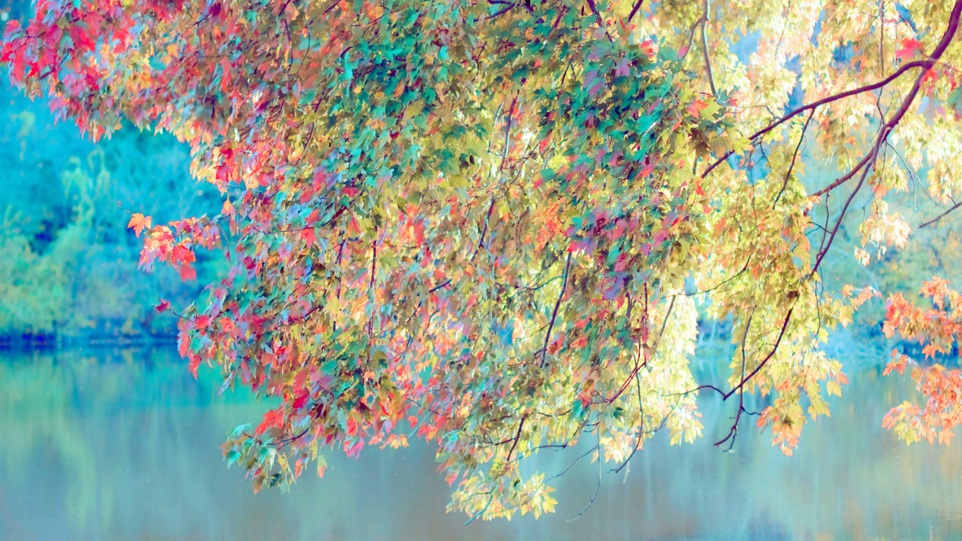 Canva Autumn Leaves Art Background