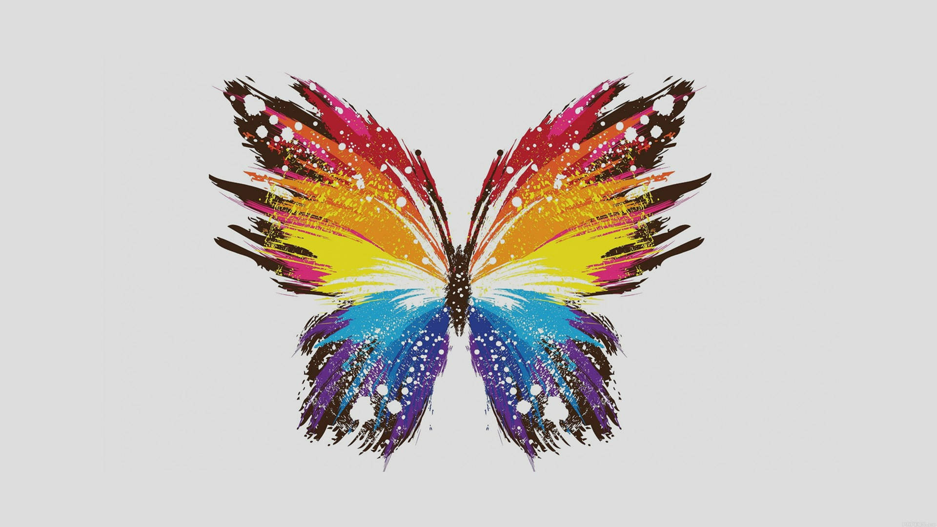 Canva Multicolored Butterfly Background