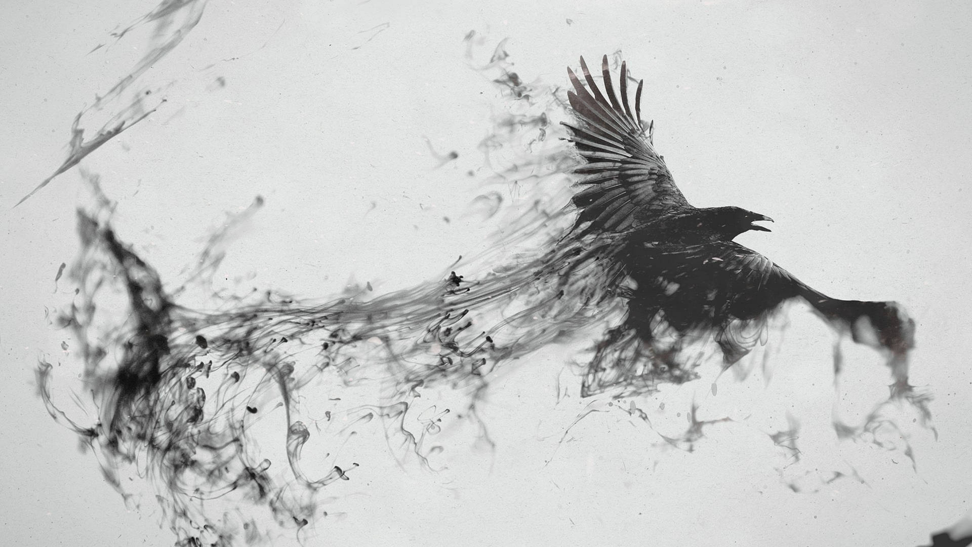 Canva Raven Disintegration Art