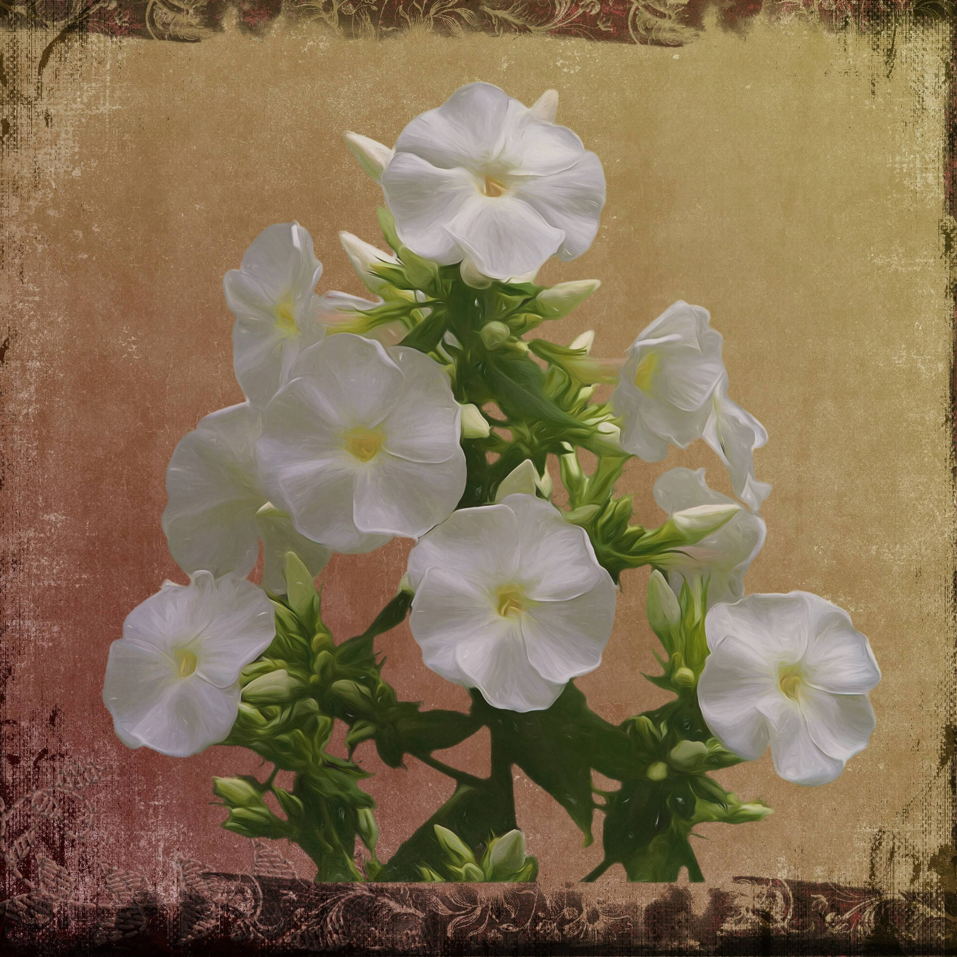Canva White Flowers Artwork Background