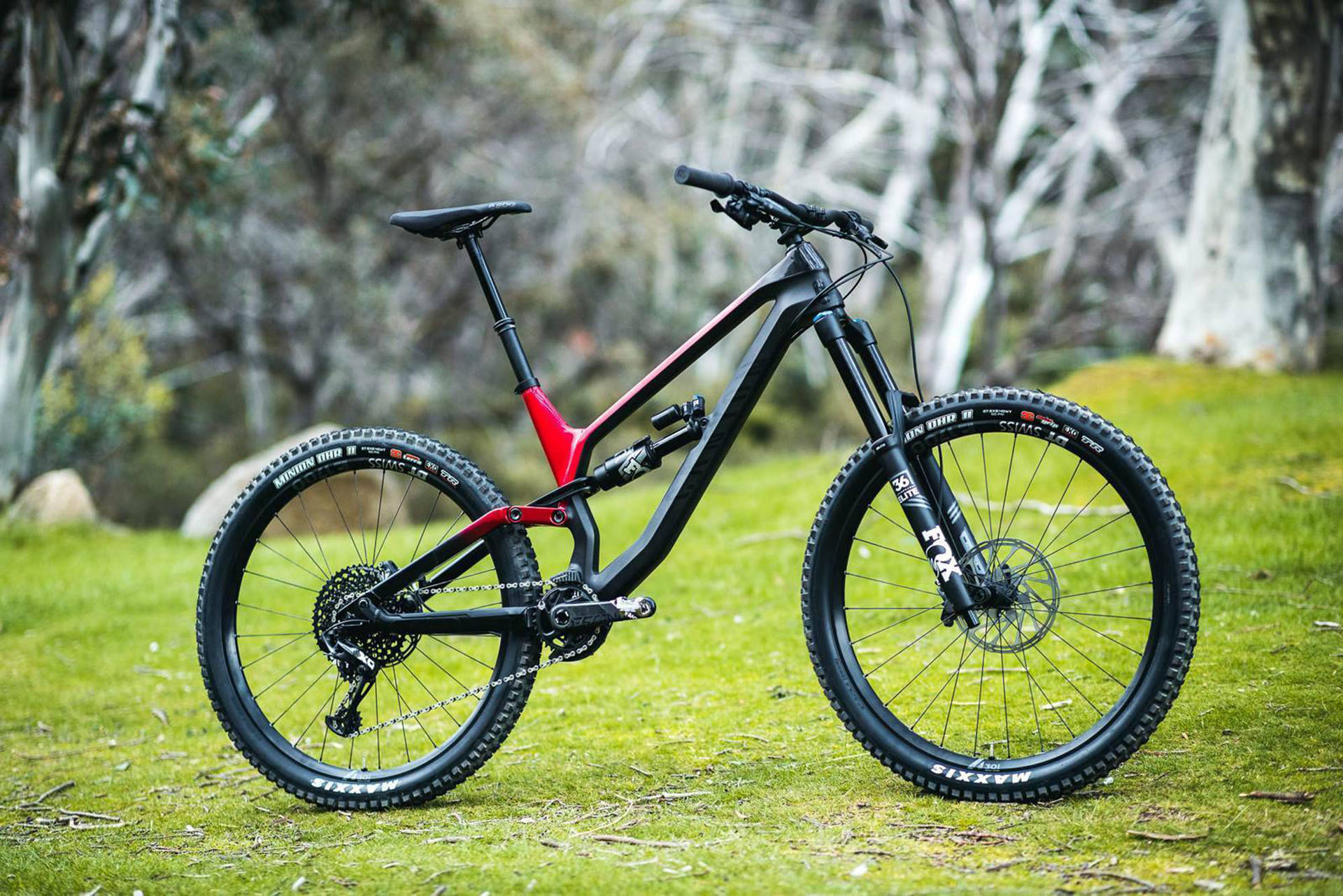 Canyon Mountain Bike