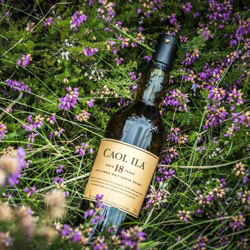 Caol Ila Scotch Whiskey Lavender Background