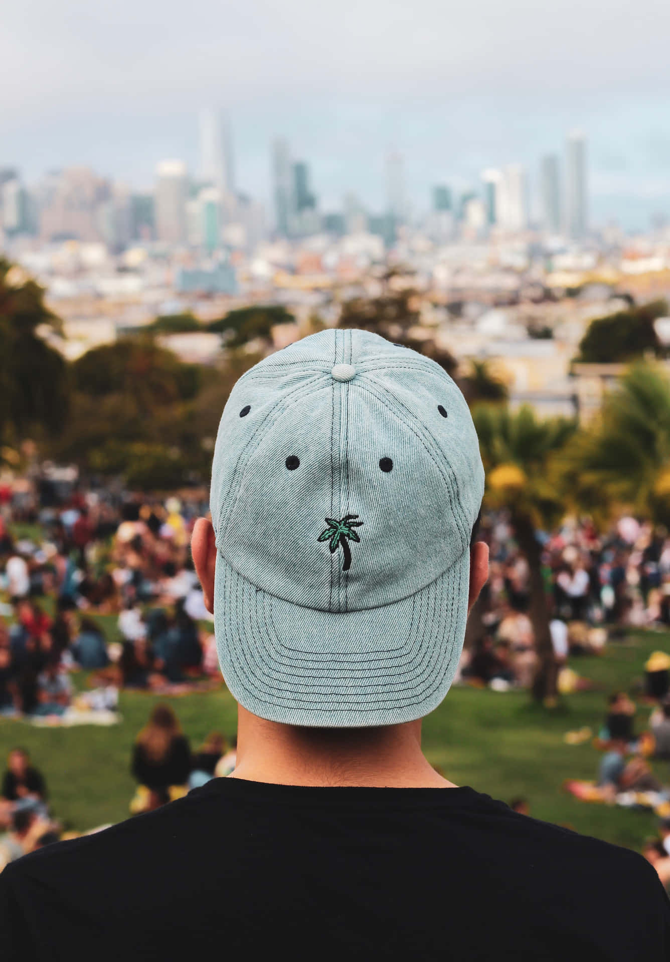 Cap With A Palm Tree Logo Background