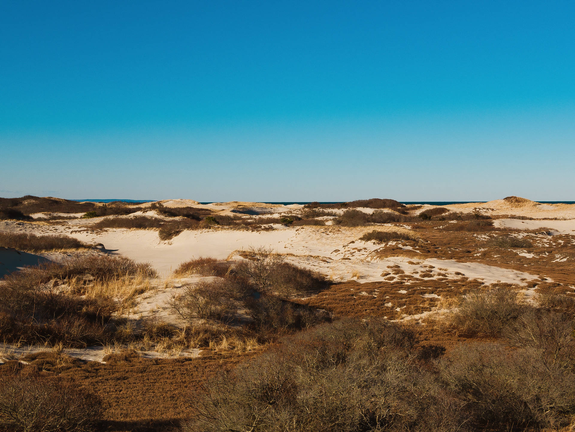 Cape Cod Dune Shacks Trail Background