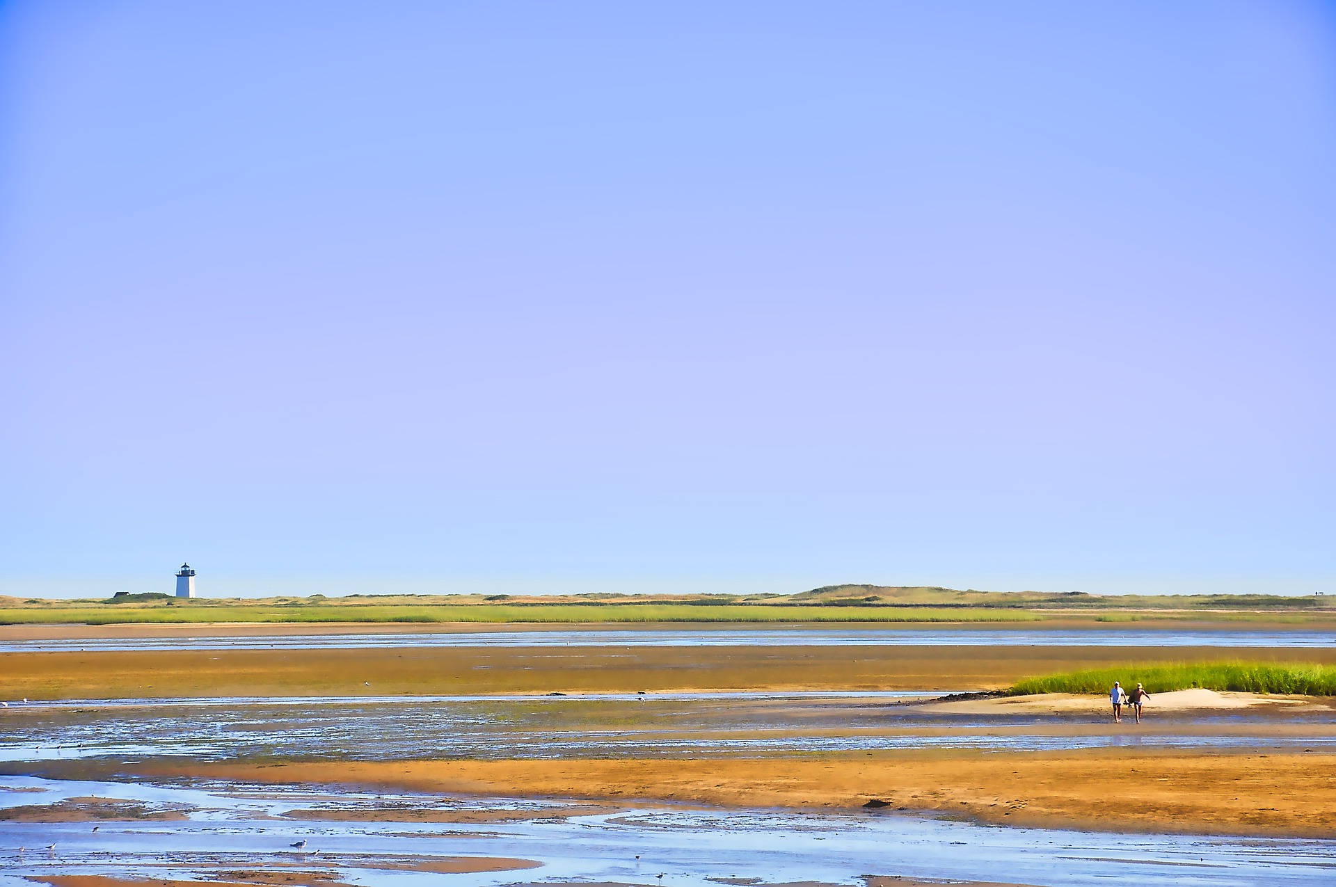 Cape Cod During Low Tide Background