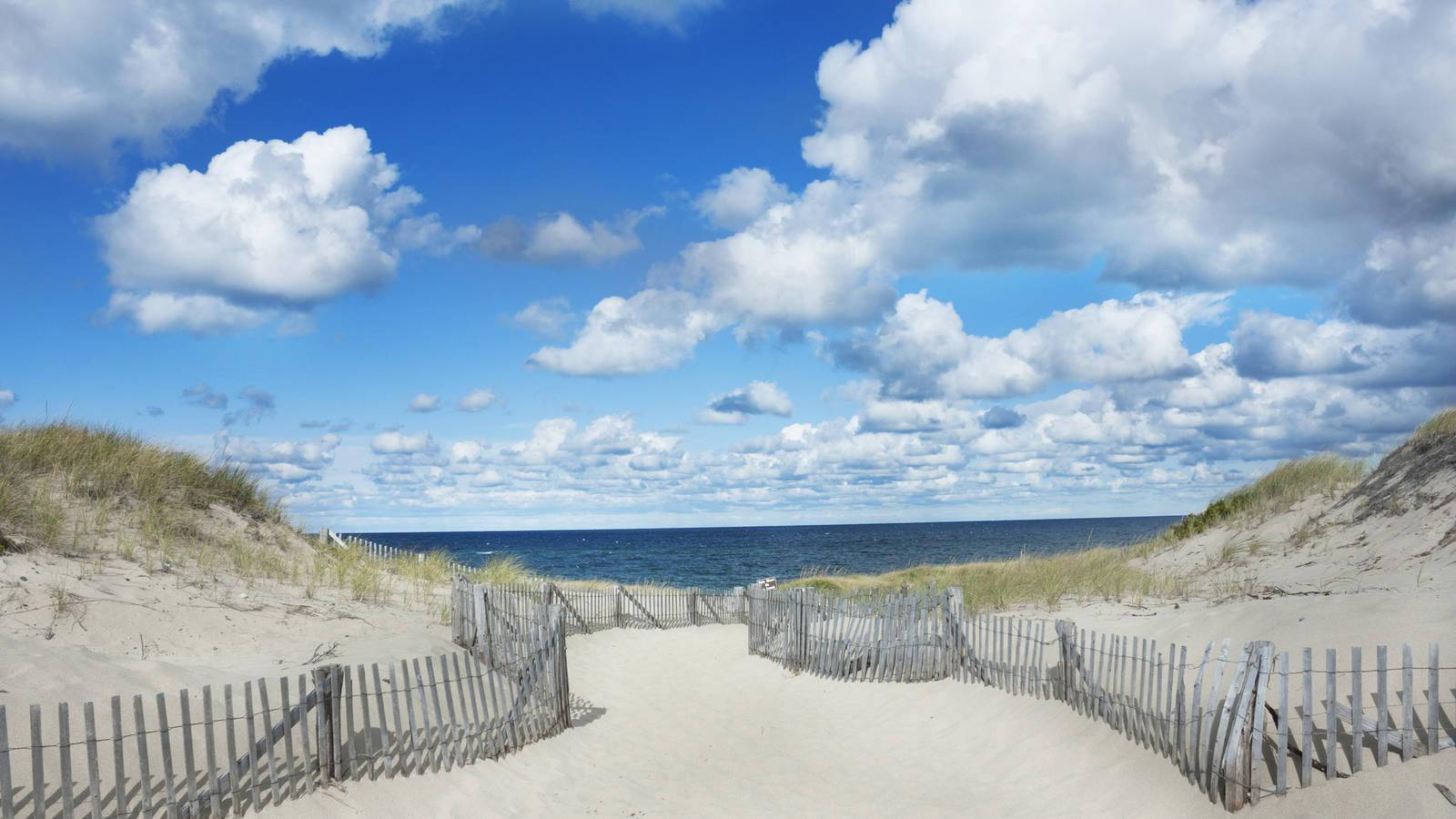 Cape Cod Fenced Sandy Path Background