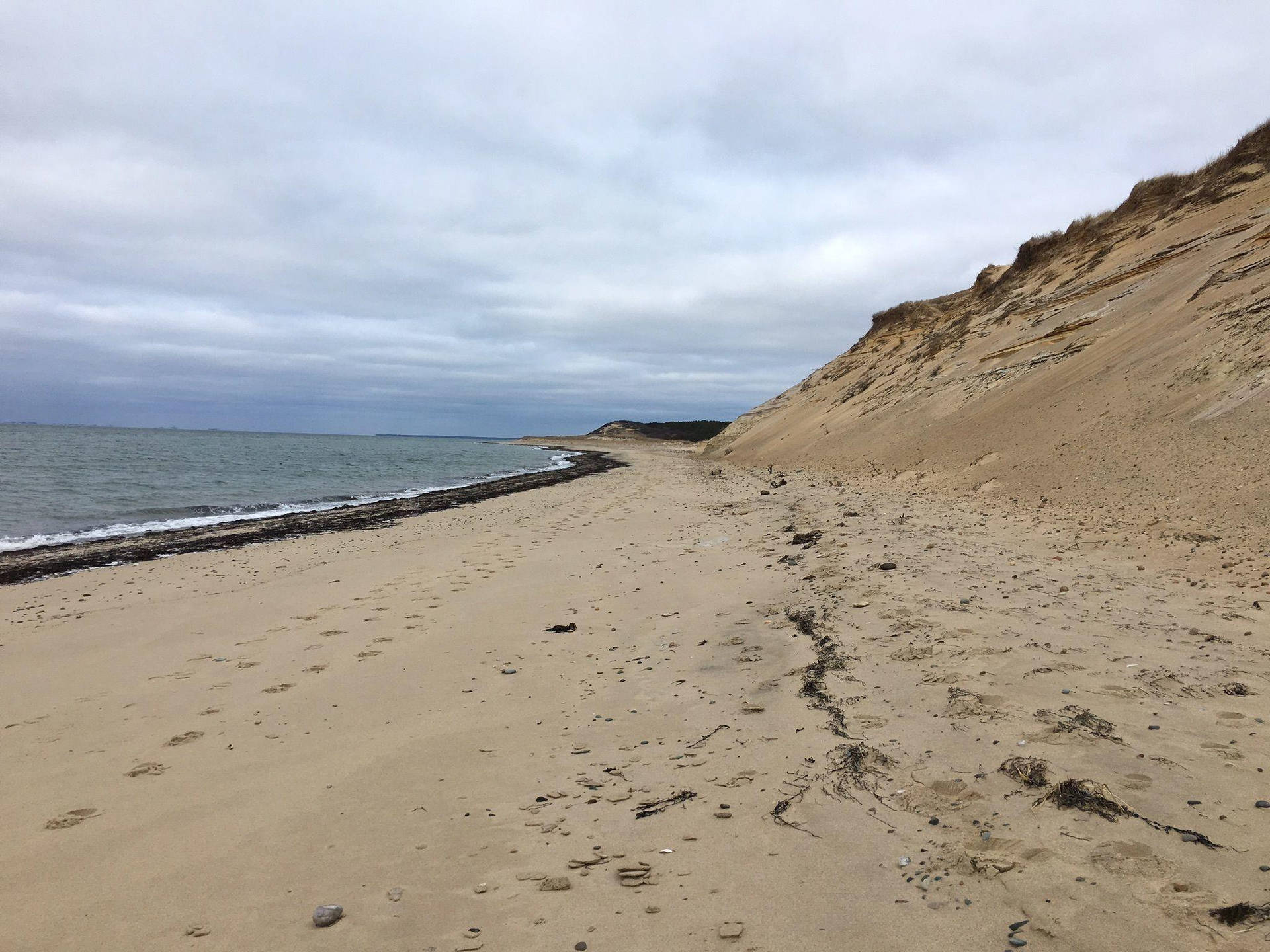 Cape Cod Footprints On The Sand Background