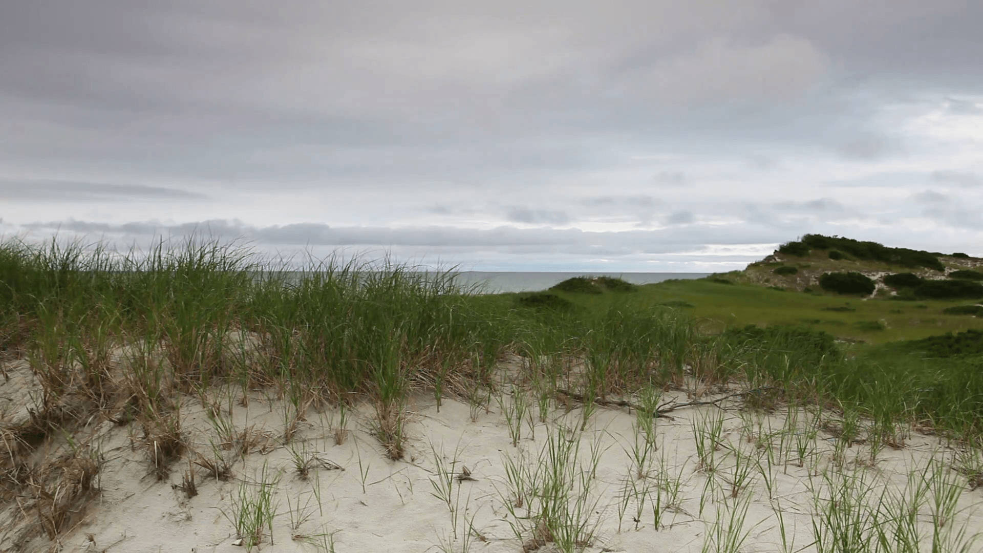 Cape Cod Gray Sky Background