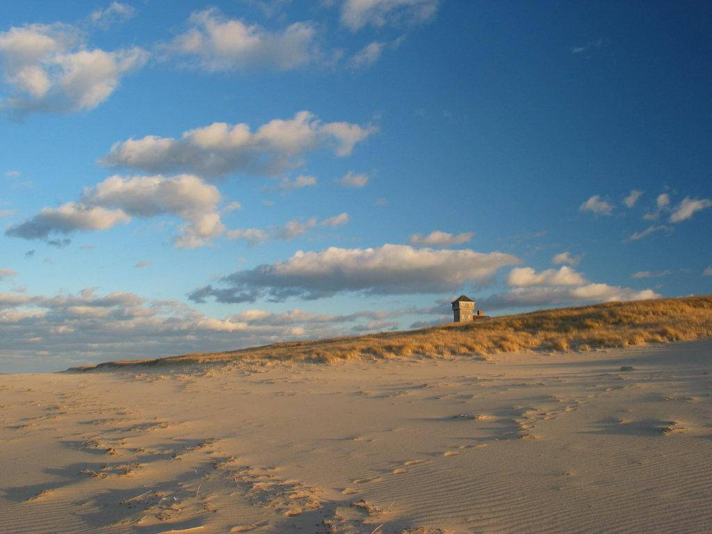 Cape Cod Lone House By The Shore Background