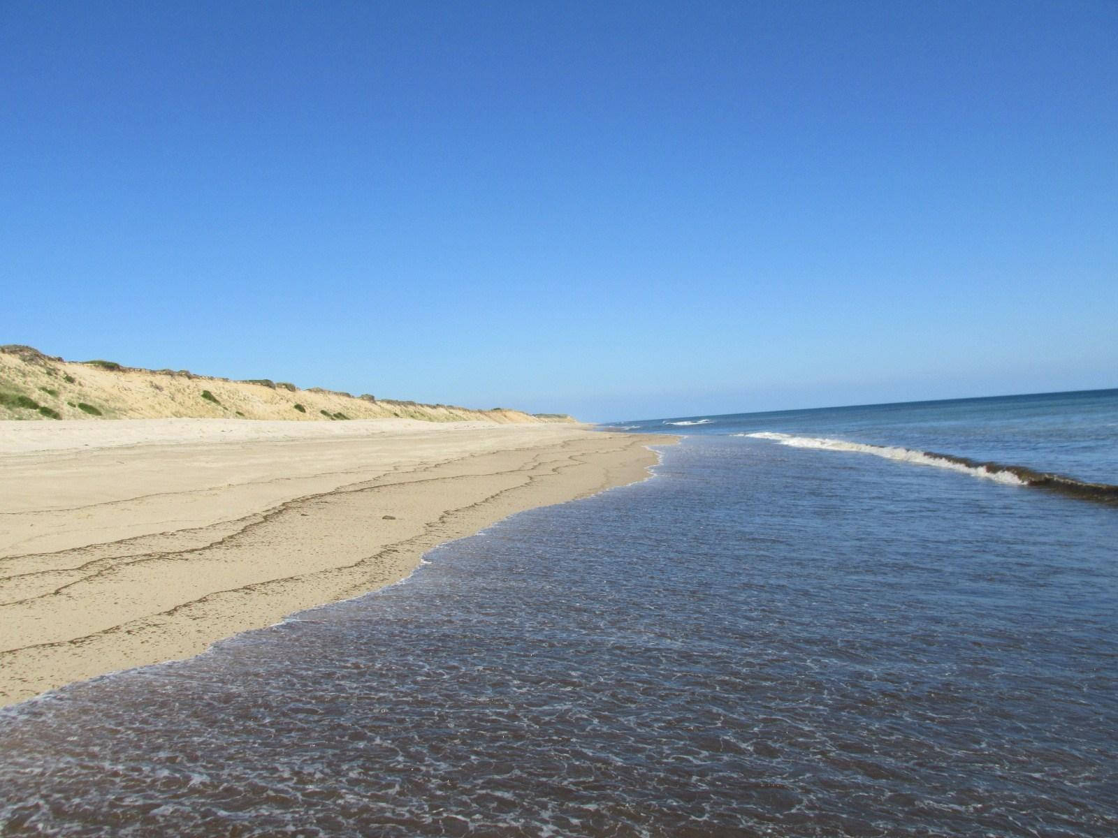 Cape Cod Peaceful Sea Waves Background