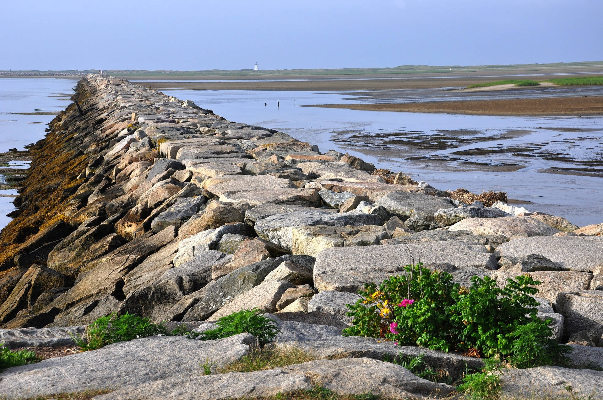 Cape Cod Rocky Beach Walk Background