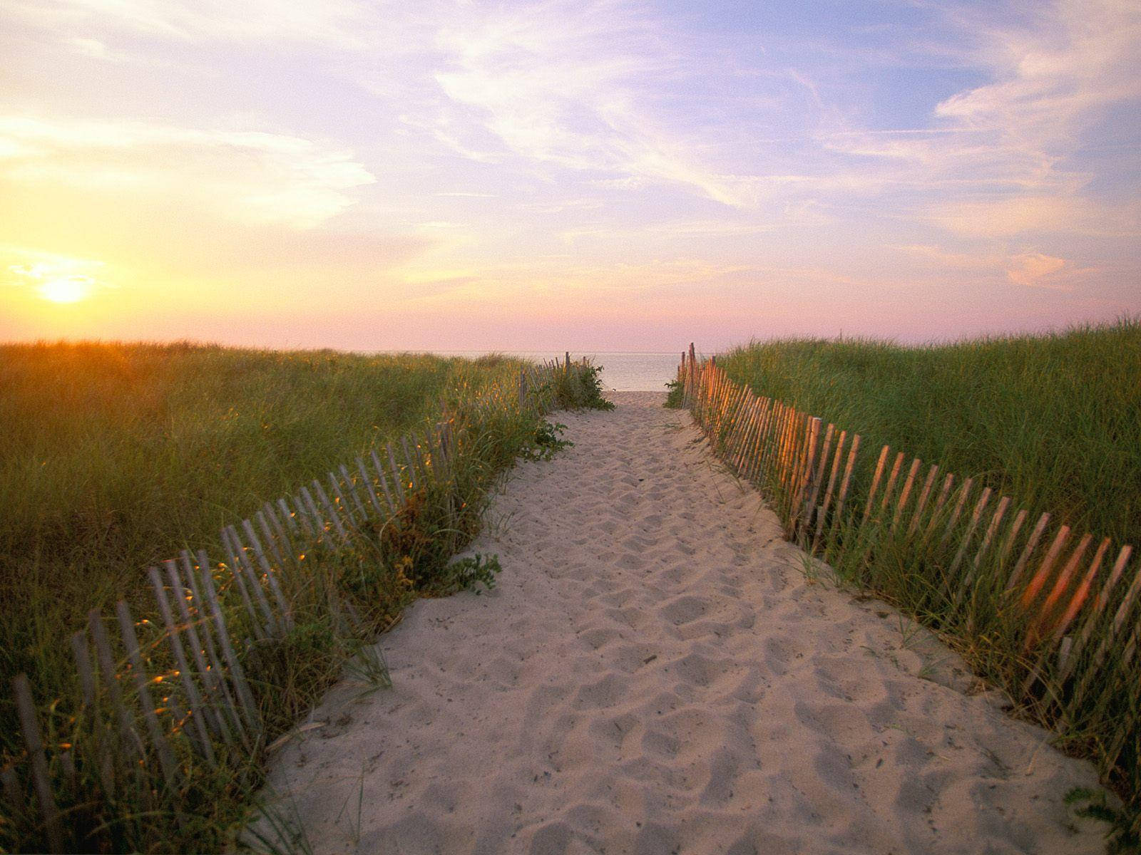 Cape Cod Sandy Road Background