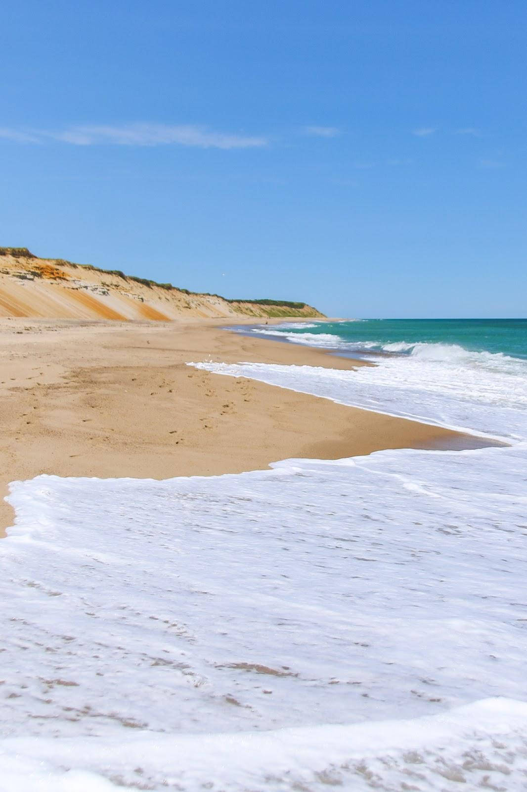 Cape Cod Sea Foam Background