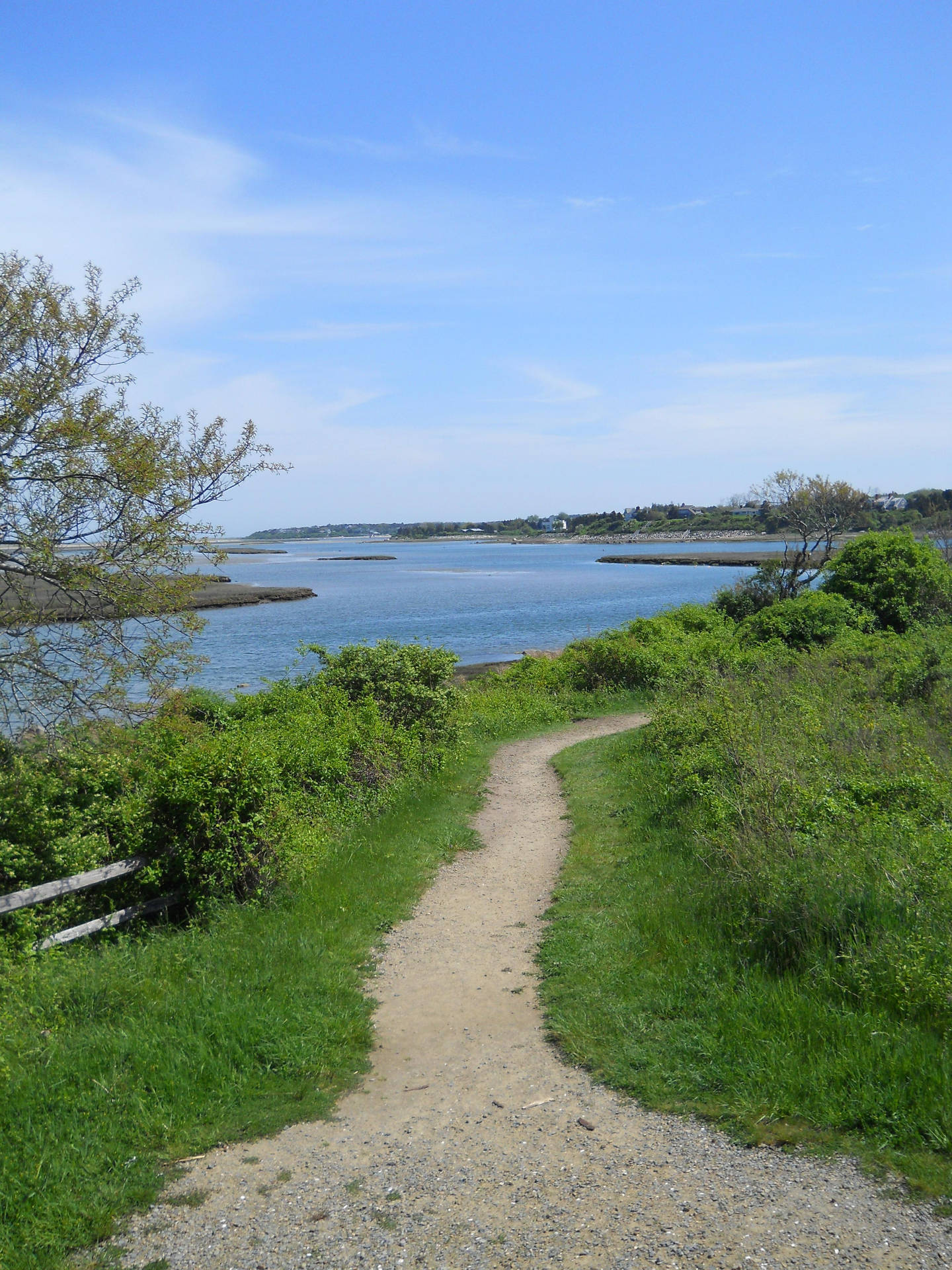 Cape Cod Trail Overlooking The Sea Background