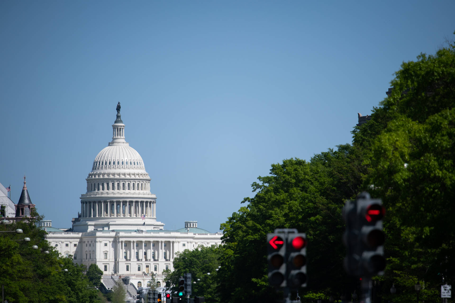 Capitol Hill And Trees Background