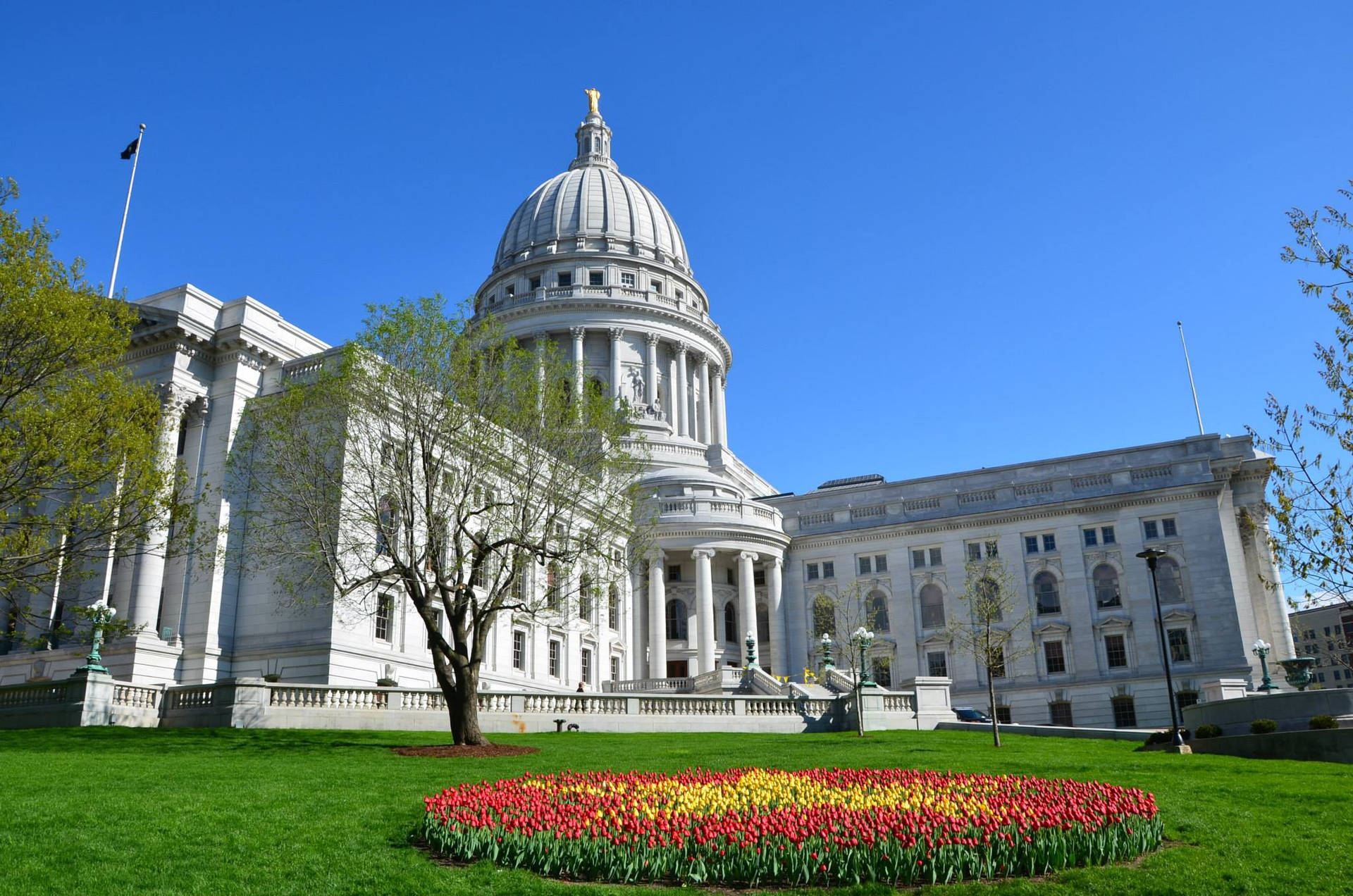 Capitol Wisconsin Flower Park Background