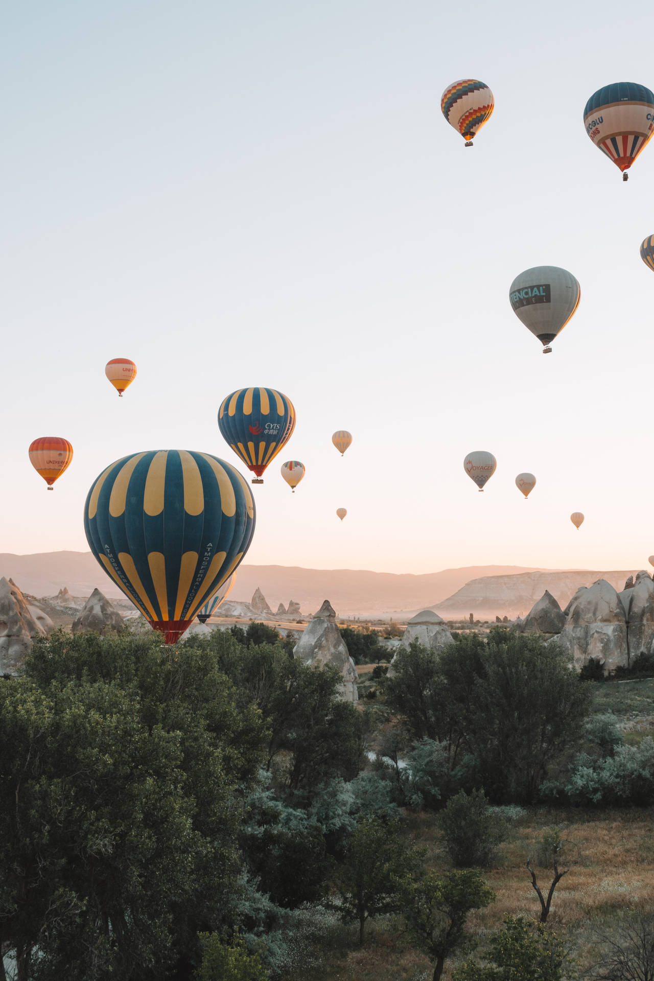 Cappadocia Balloons Forest Background