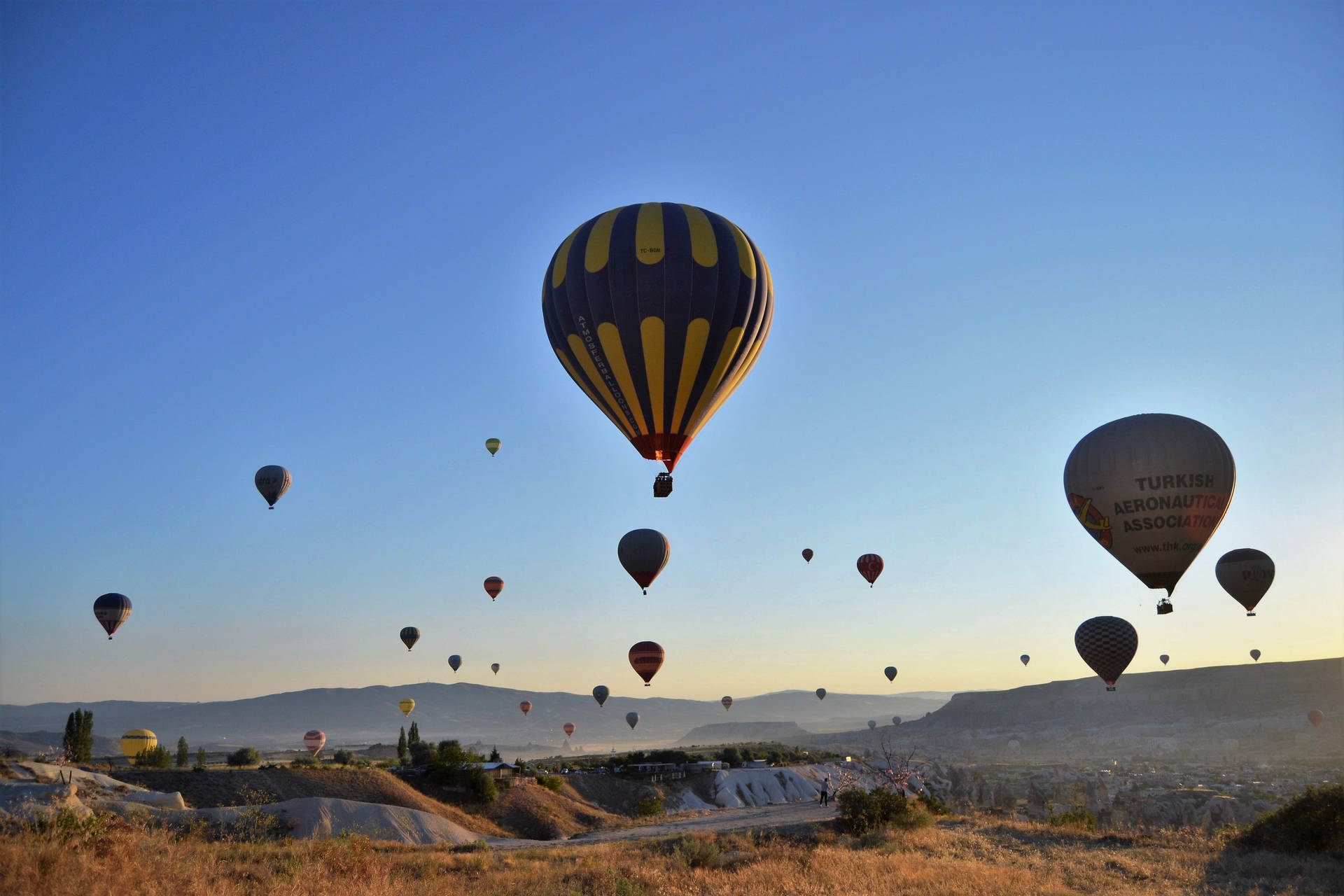 Cappadocia Balloons Taking Off Background