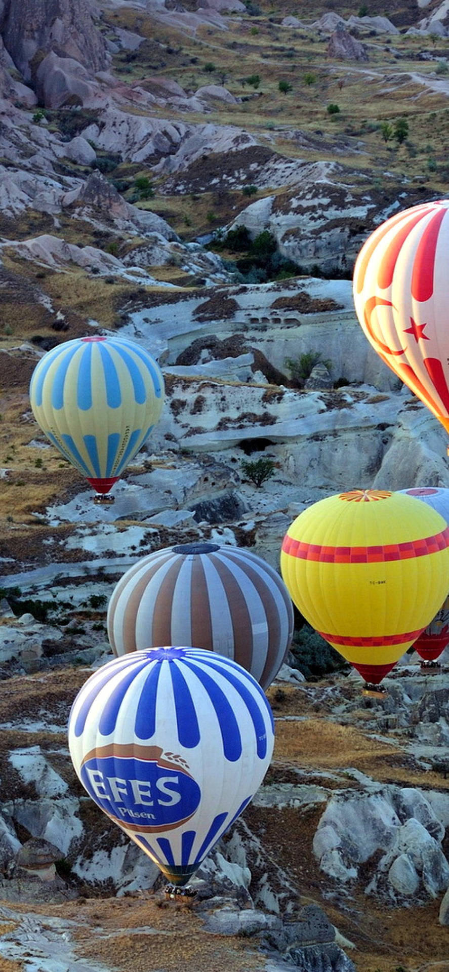 Cappadocia Multiple Balloons Background