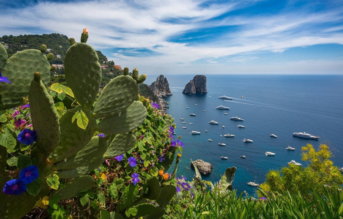 Capri Italy View Of Mediterranean Sea Background