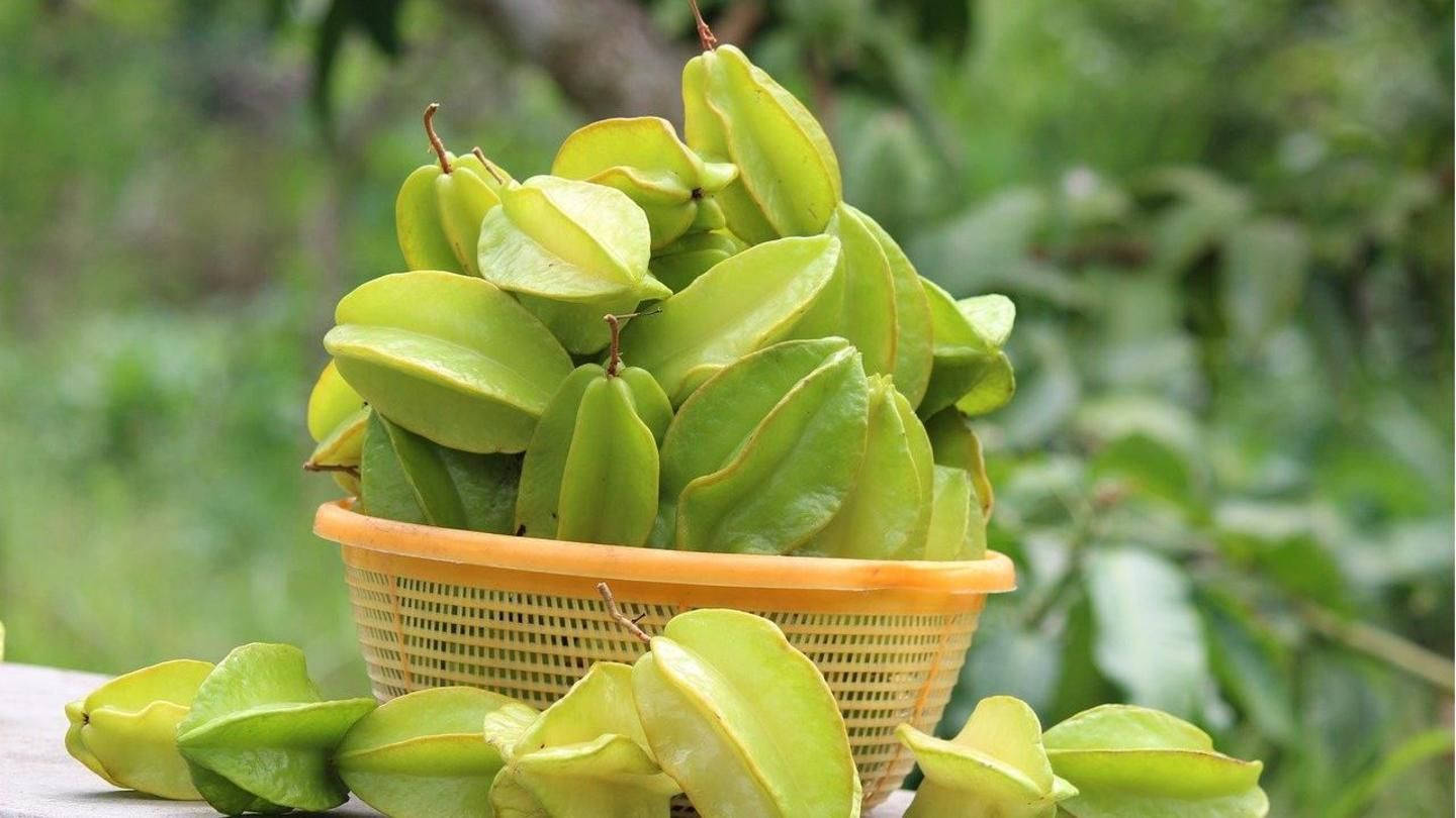 Caption: A Bountiful Harvest Of Star Fruits