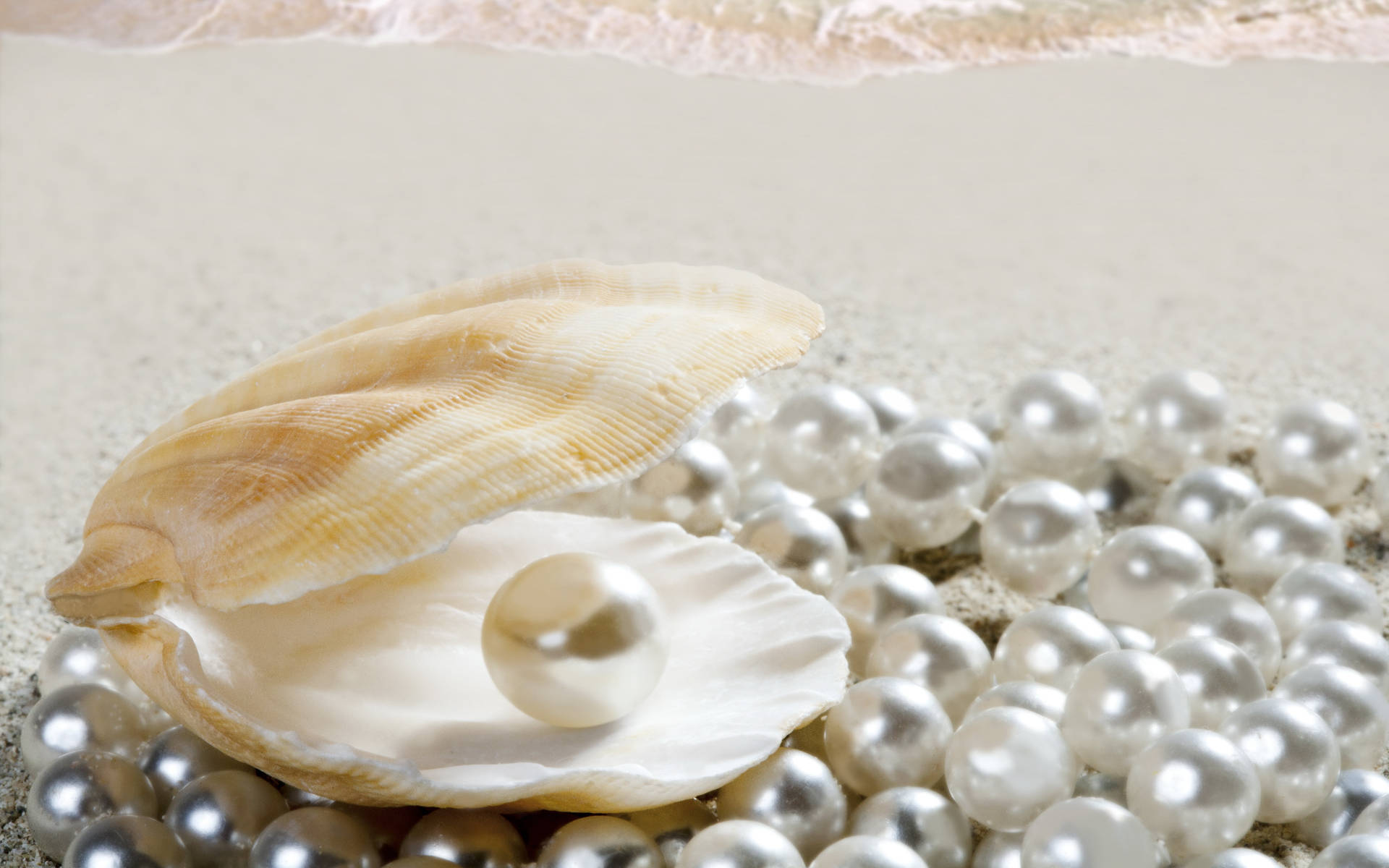 Caption: A Glistening Pearl In A Radiant Seashell Background