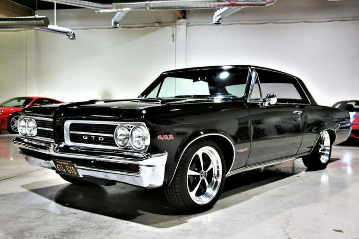 Caption: A Stellar Ride - Pontiac Gto Background