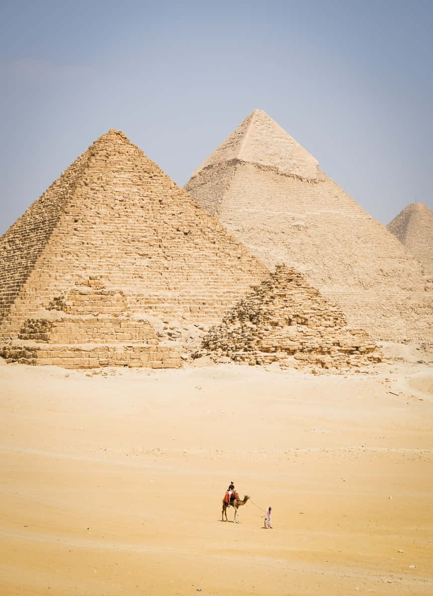 Caption: A Tourist Enjoying Camel Ride With The Backdrop Of The Majestic Pyramids Of Giza Background