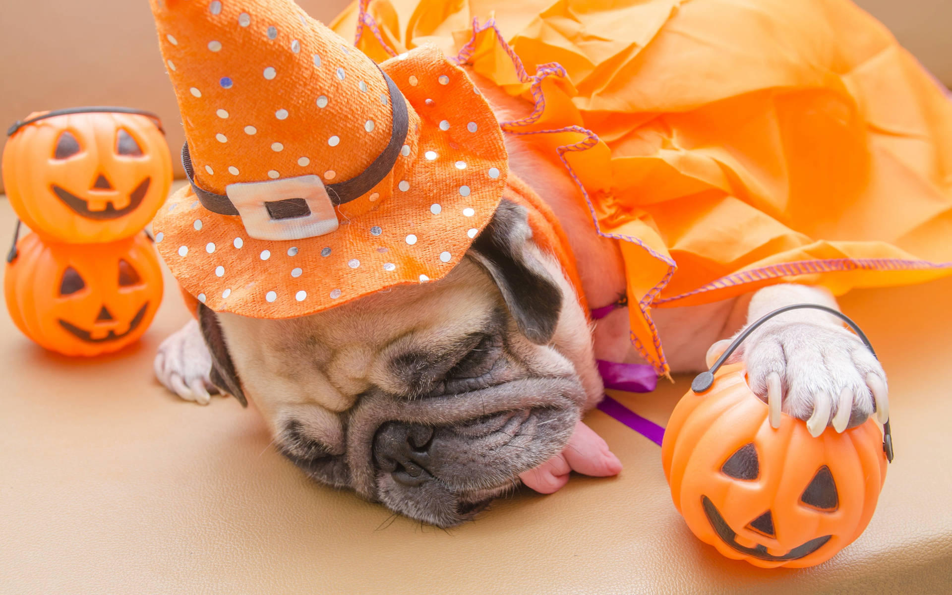Caption: Adorable Halloween Desktop - Spooky Fun Awaits Background