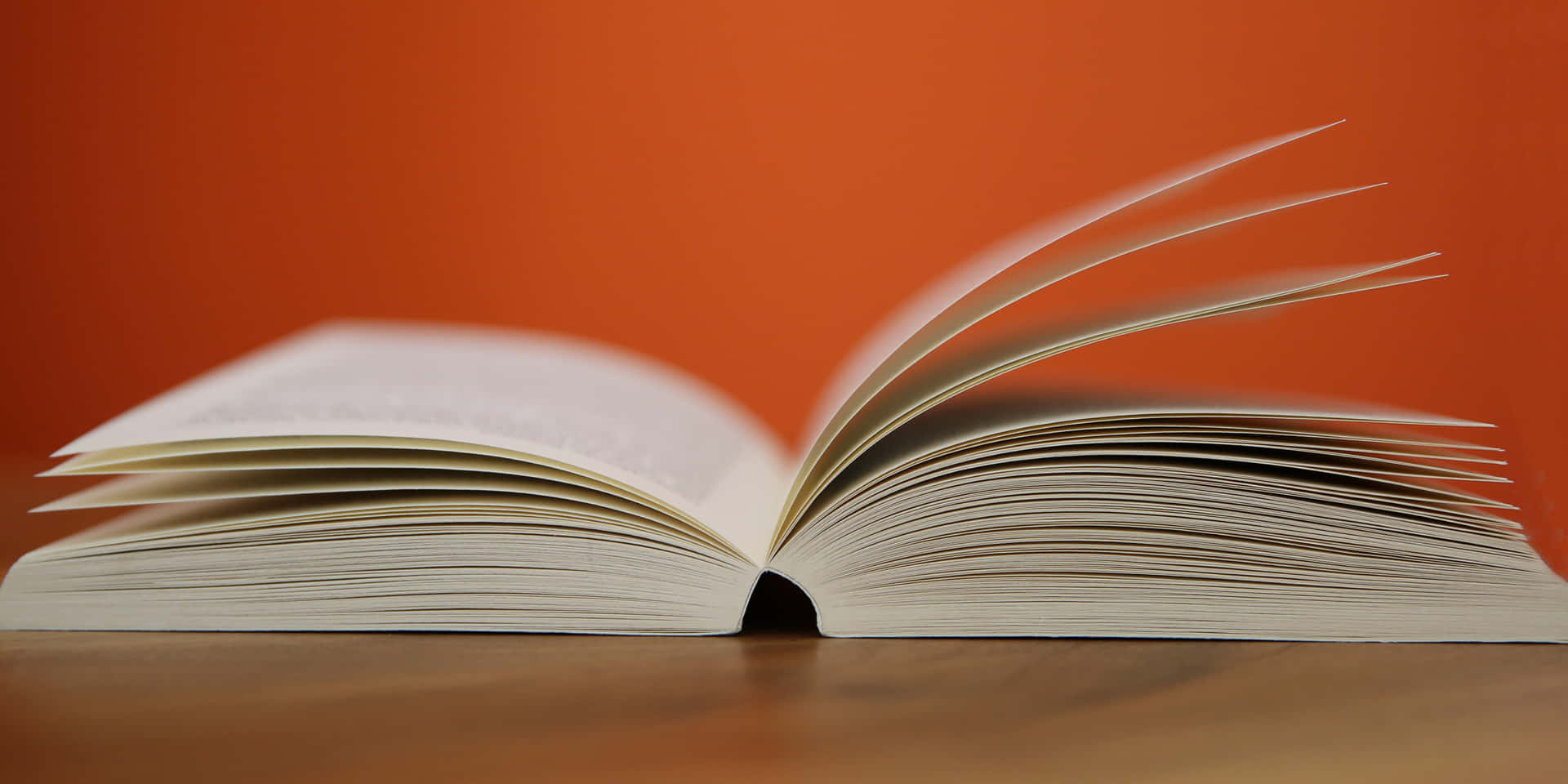 Caption: An Engaged Reader Immersed In 'educated' Background