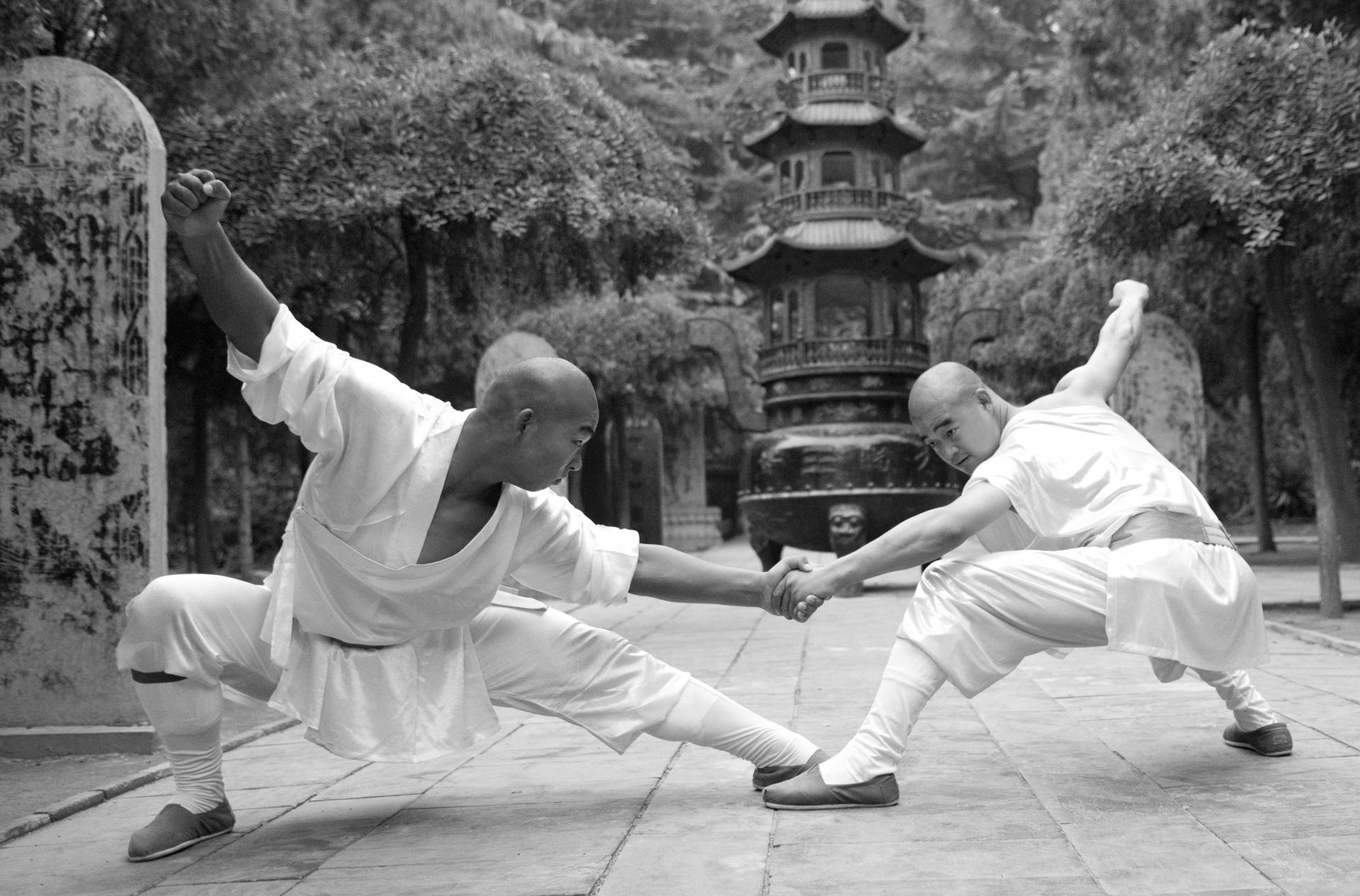 Caption: An Exemplary Display Of Wing Chun At The Historic Shaolin Temple Background