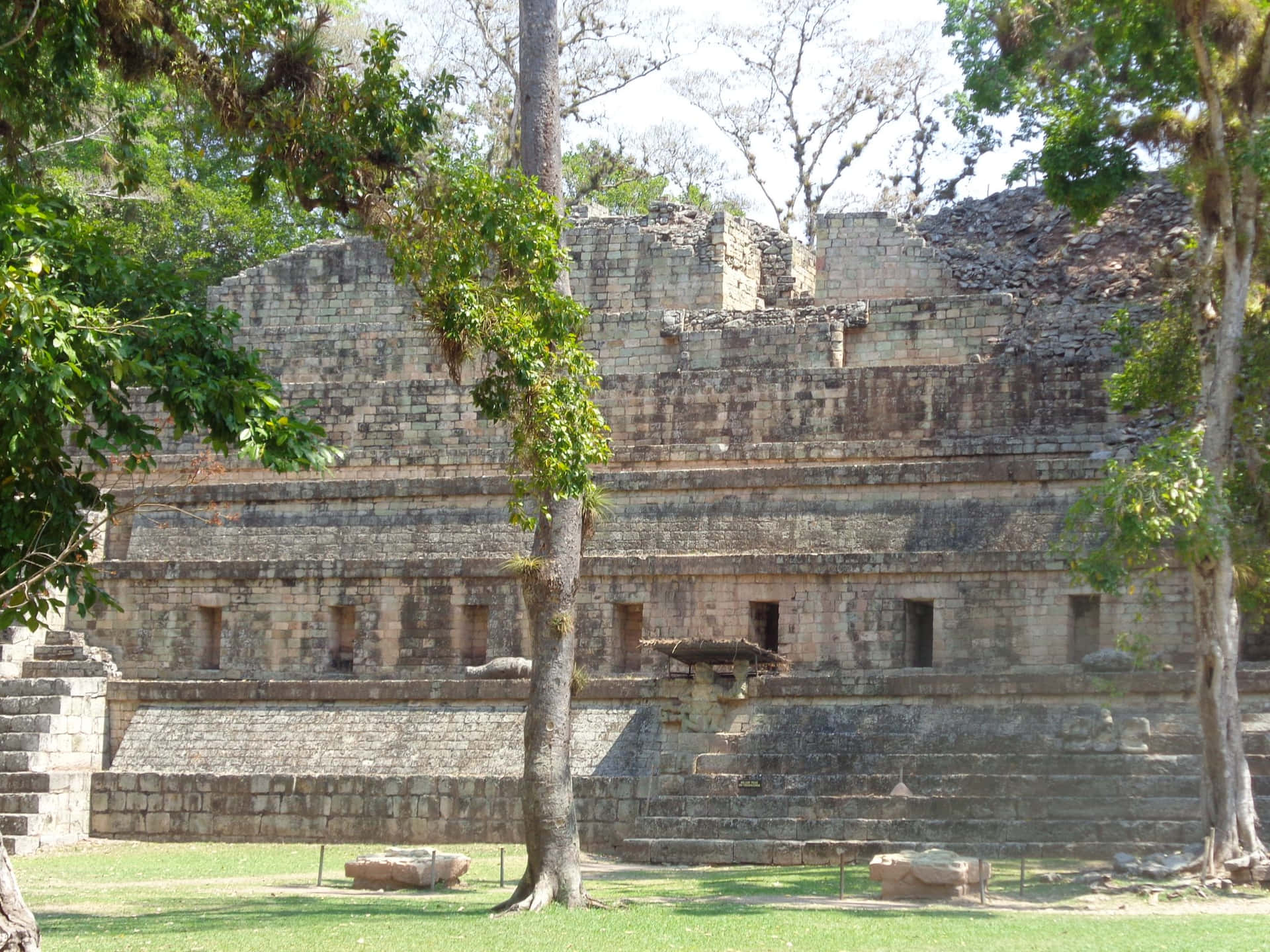 Caption: Ancient Mayan Ruins Of Copan, Honduras Background