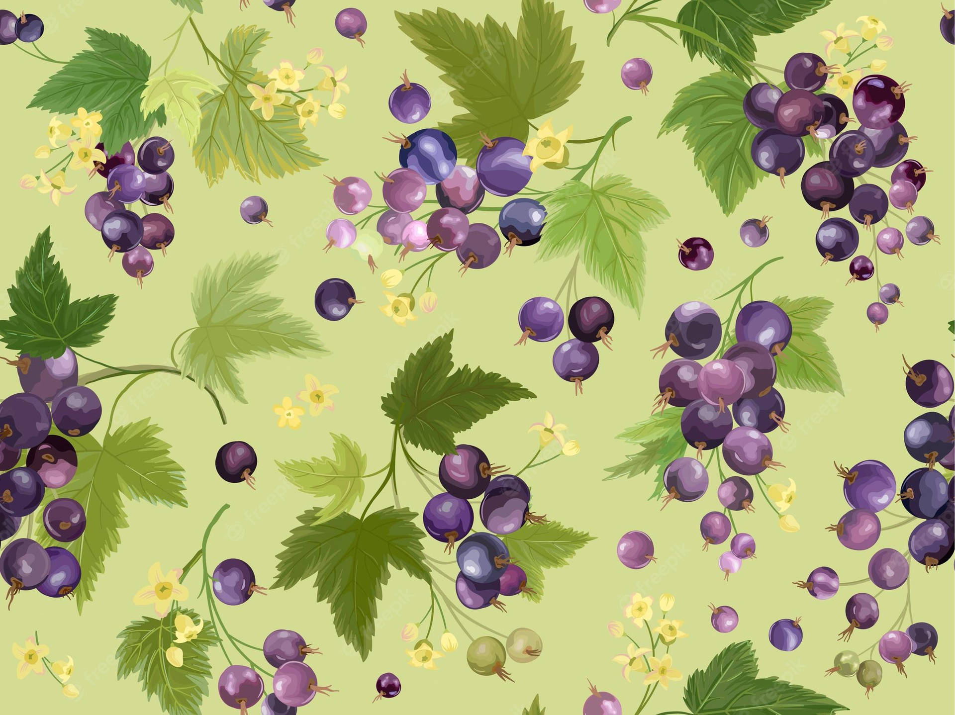 Caption: Artful Representation Of Ripe Black Currant Berries