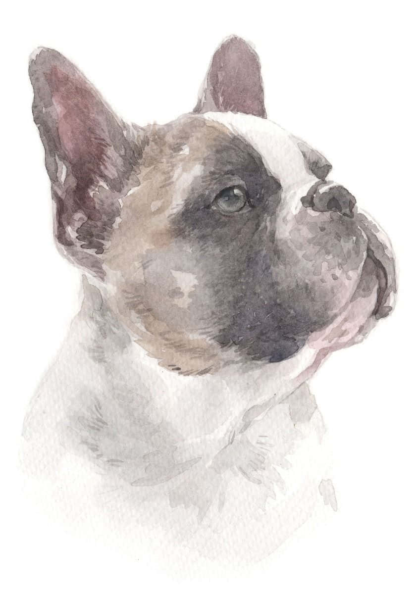 Caption: Artistic Watercolor Rendering Of A Charming French Bulldog Background