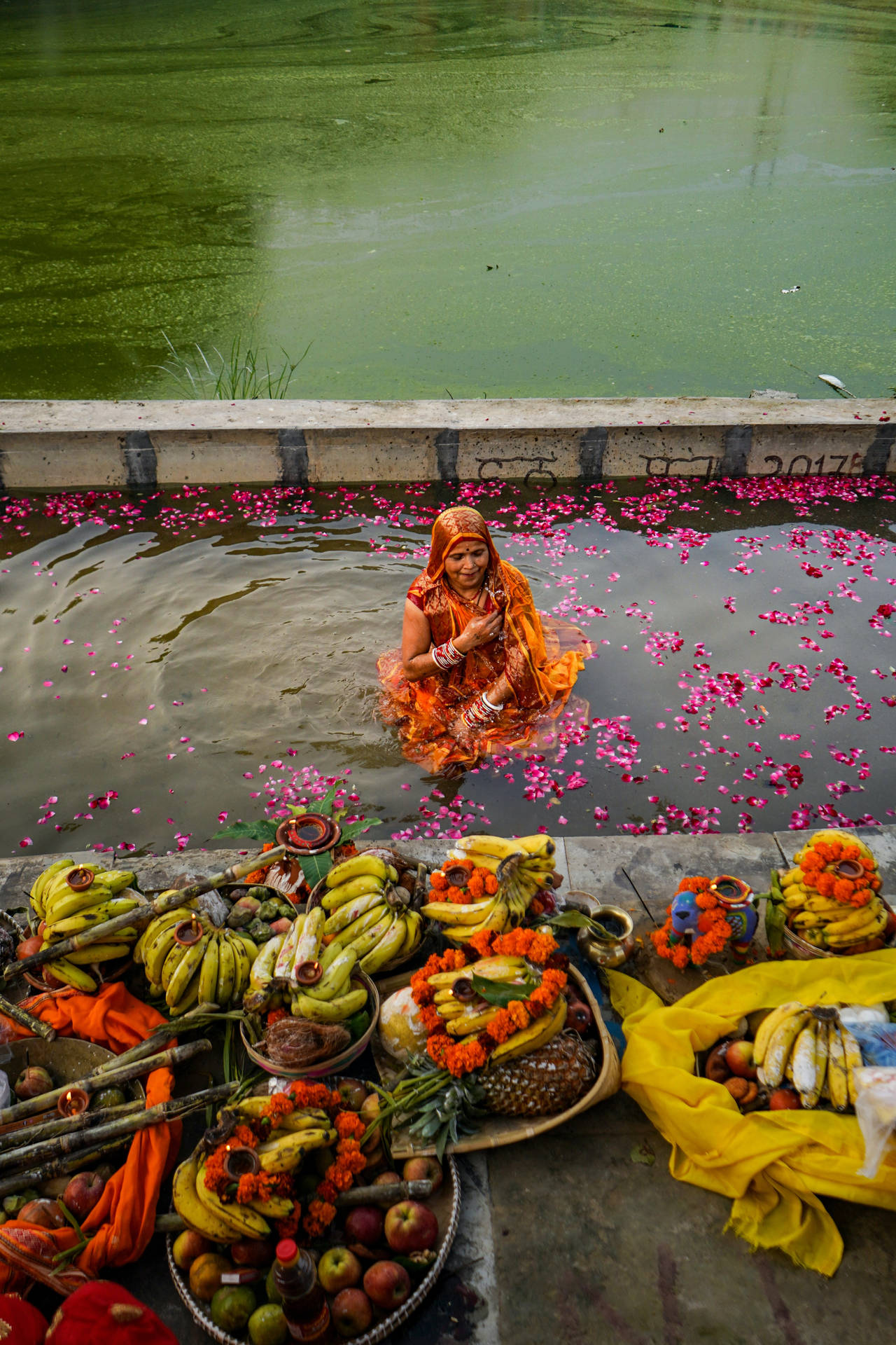 Caption: Authentic Celebration Of Chhath Puja Background