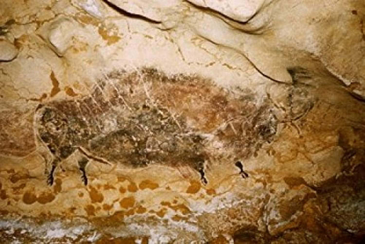 Caption: Beneath The Surface: Exploring The Marvel Of Lascaux Caves