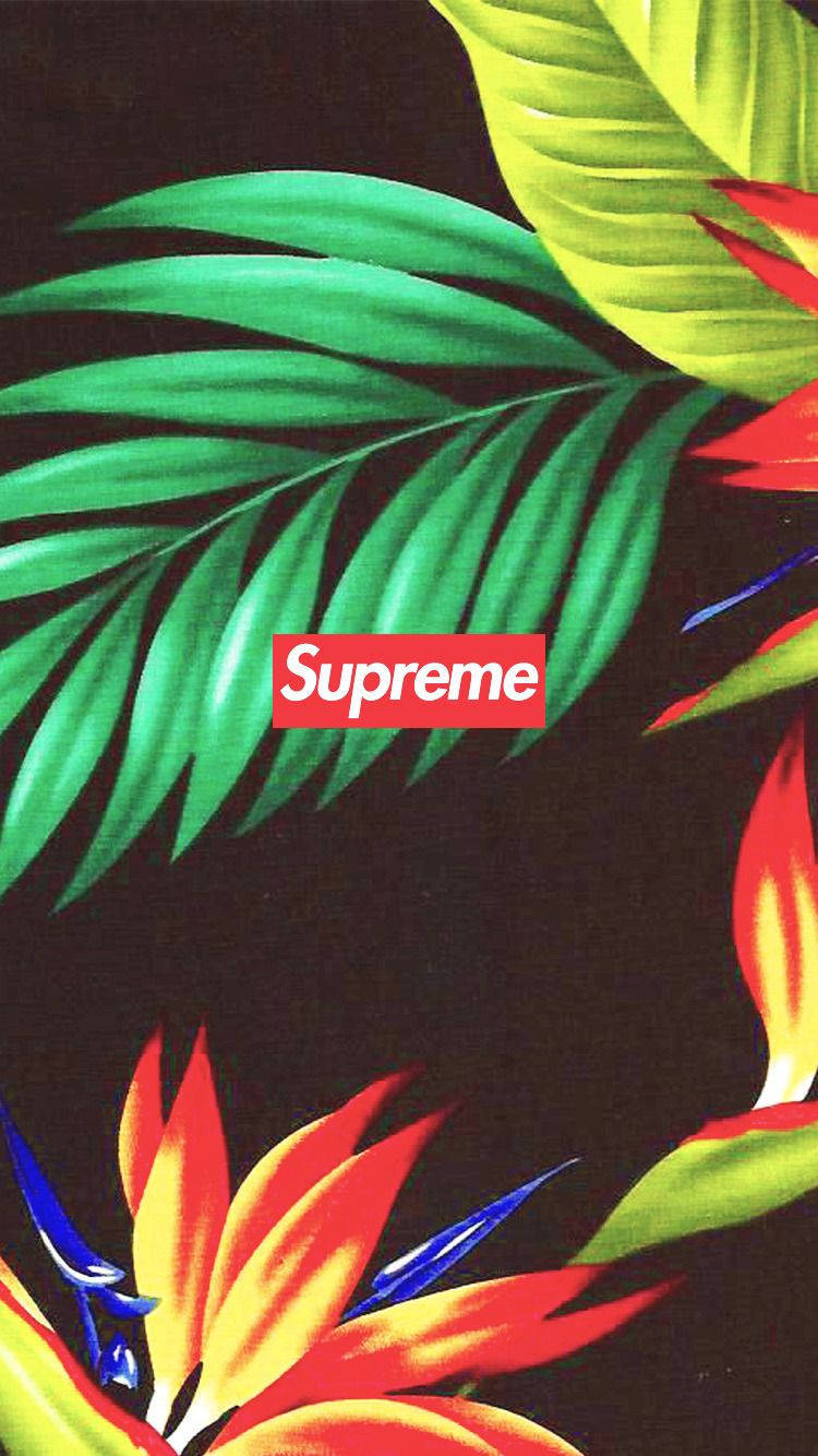 Caption: Blooming Supreme Aesthetic Background