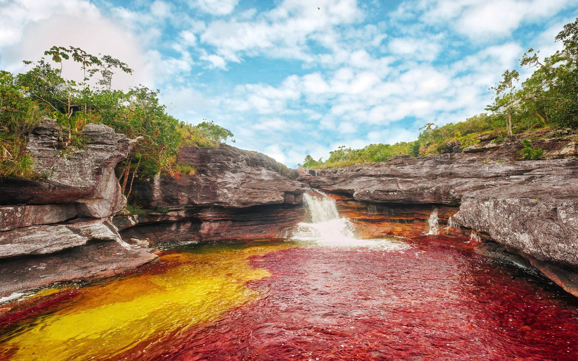 Caption: Breathtaking View Of Cano Cristales, The River Of Five Colors, In Colombia Background