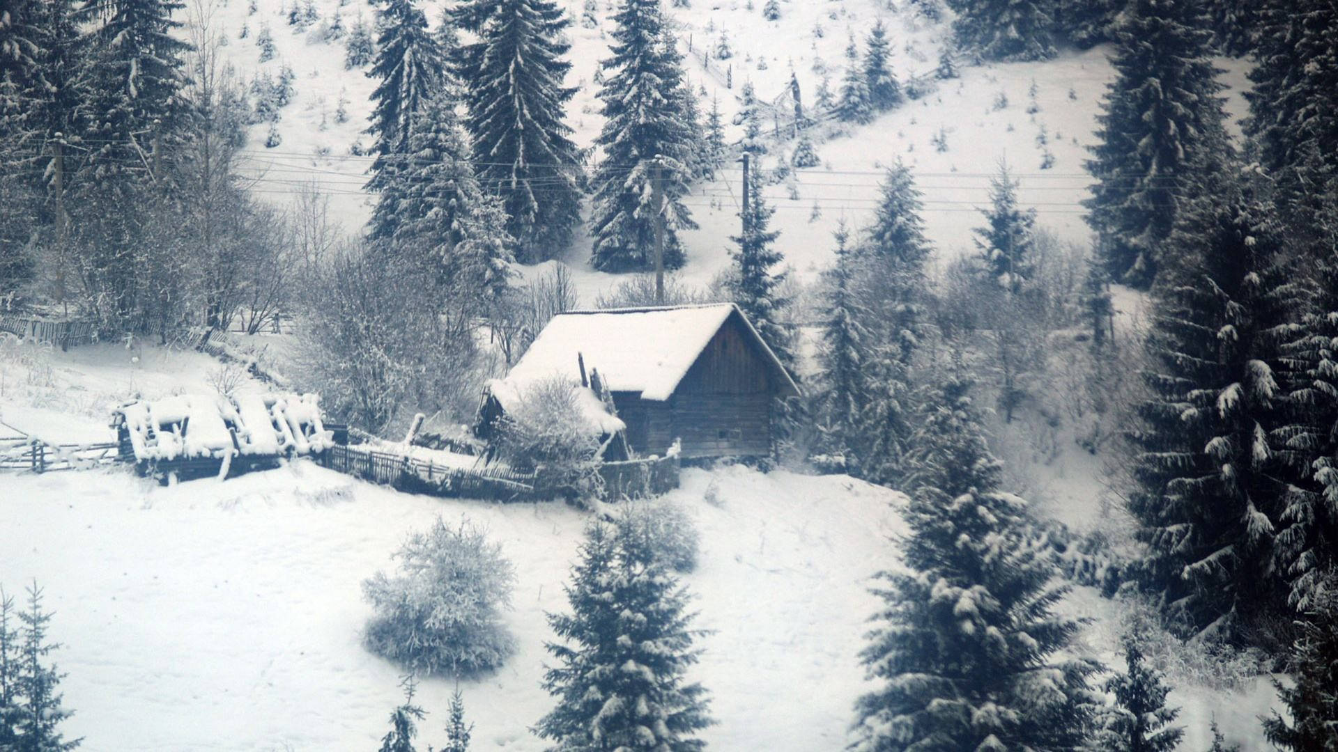Caption: Breathtaking Winter Cabin Display In High Definition