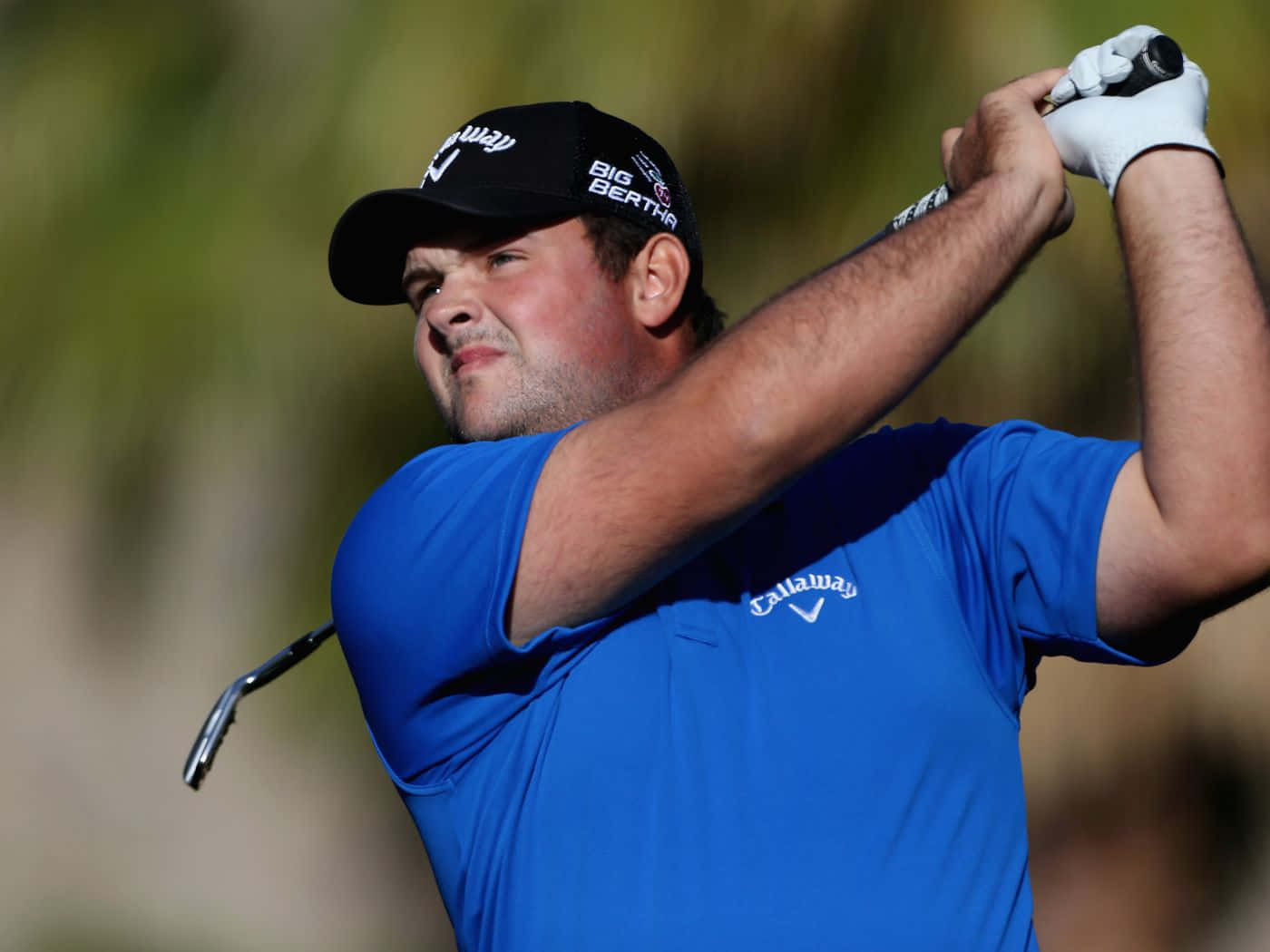 Caption: Briny Baird In Action At The Golf Course Background