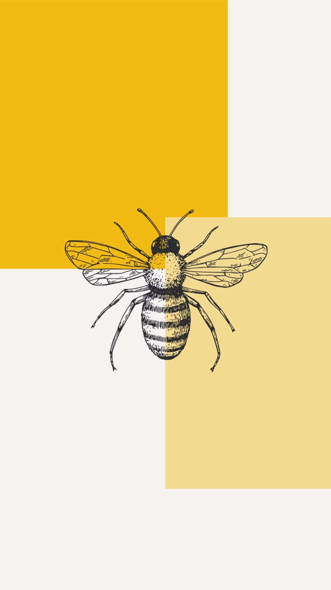 Caption: Buzzing Beauty On Screen - Bee Iphone Wallpaper Background