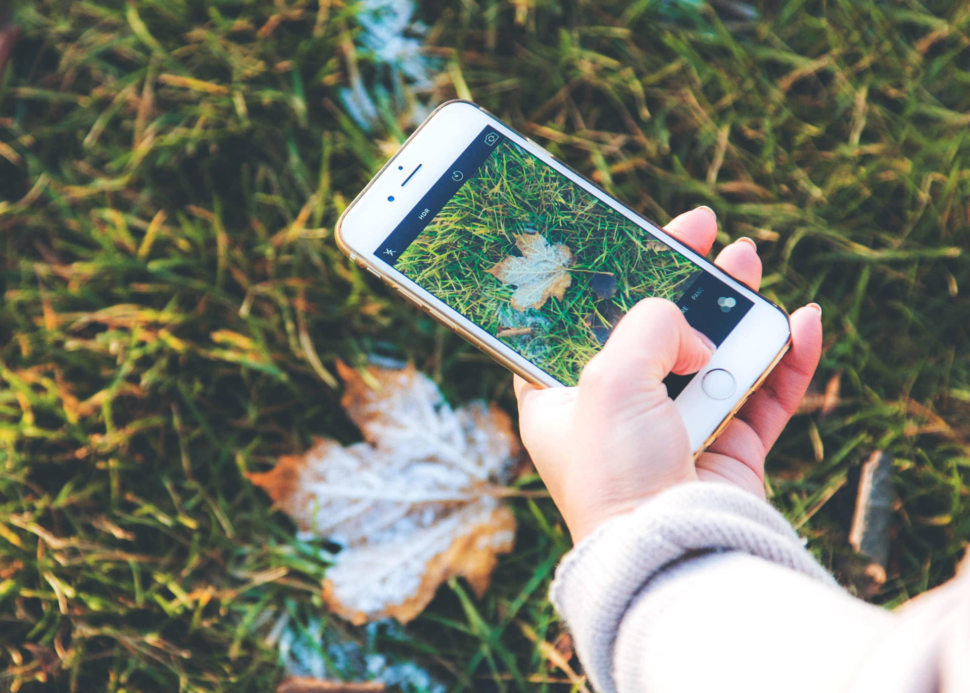 Caption: Captivating Autumn Landscape With Phone